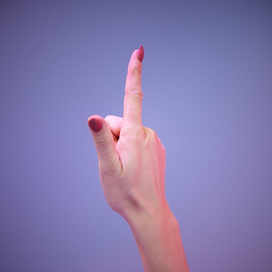 American Sign Language Hand Gesture 3D Model – High Poly Zbrush Asset, FBX - View 10
