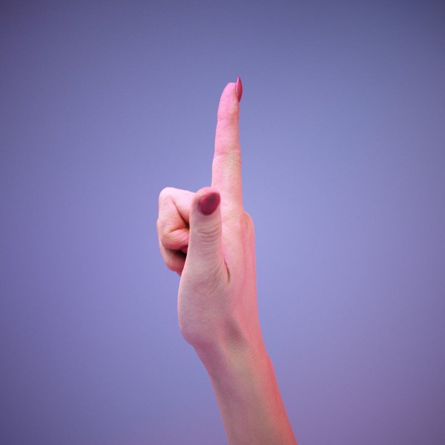 American Sign Language Hand Gesture 3D Model – High Poly Zbrush Asset, FBX - View 11