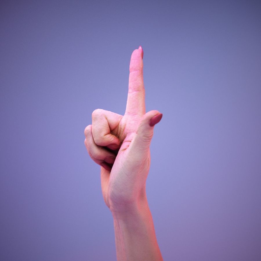 American Sign Language Hand Gesture 3D Model – High Poly Zbrush Asset, FBX - View 12