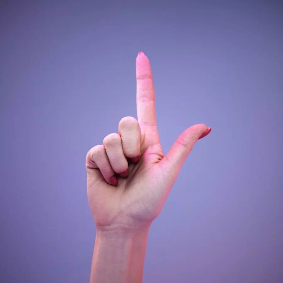 American Sign Language Hand Gesture 3D Model – High Poly Zbrush Asset, FBX - View 2