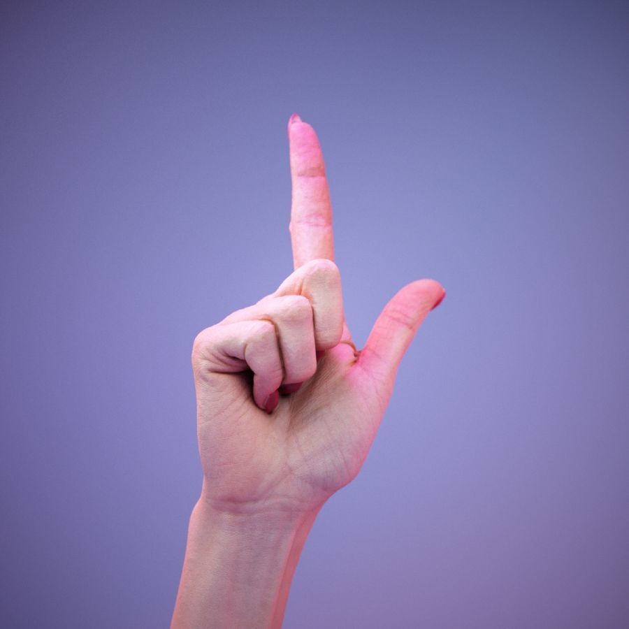 American Sign Language Hand Gesture 3D Model – High Poly Zbrush Asset, FBX - View 3