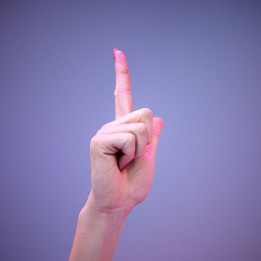 American Sign Language Hand Gesture 3D Model – High Poly Zbrush Asset, FBX - View 4