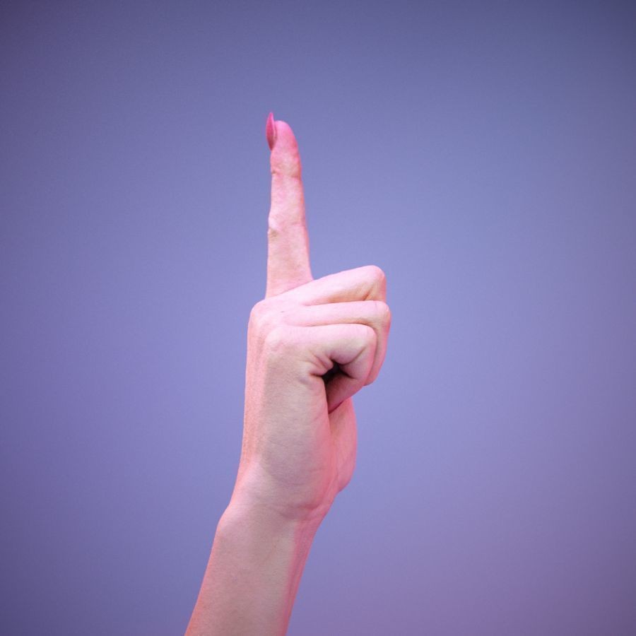 American Sign Language Hand Gesture 3D Model – High Poly Zbrush Asset, FBX - View 5