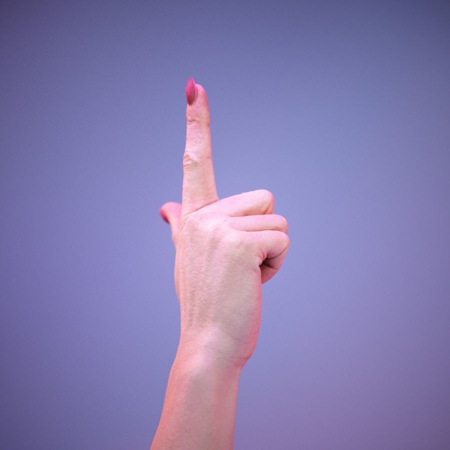 American Sign Language Hand Gesture 3D Model – High Poly Zbrush Asset, FBX - View 6