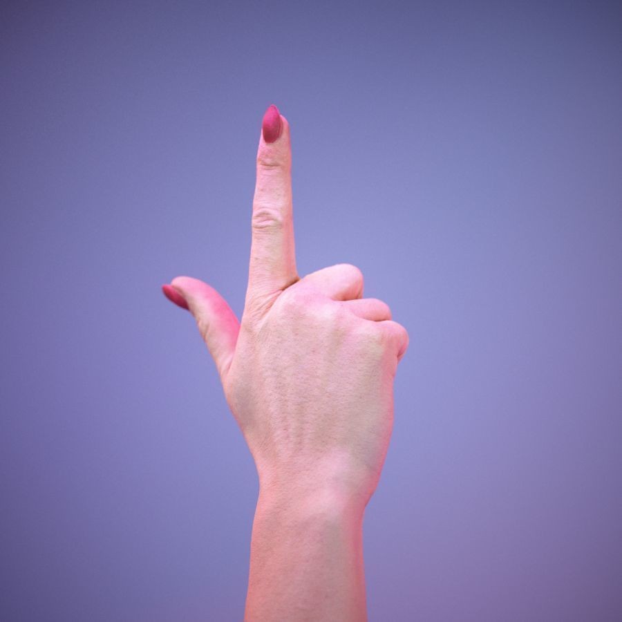 American Sign Language Hand Gesture 3D Model – High Poly Zbrush Asset, FBX - View 7