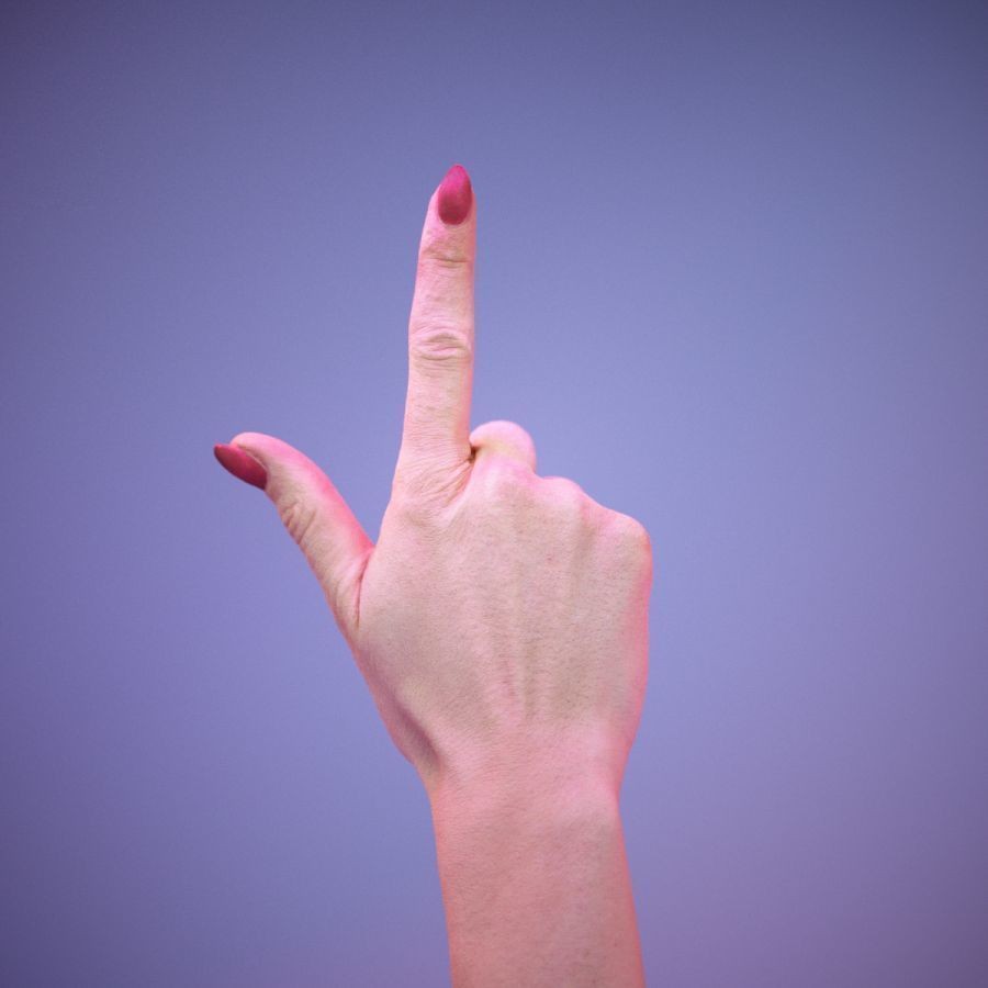 American Sign Language Hand Gesture 3D Model – High Poly Zbrush Asset, FBX - View 8