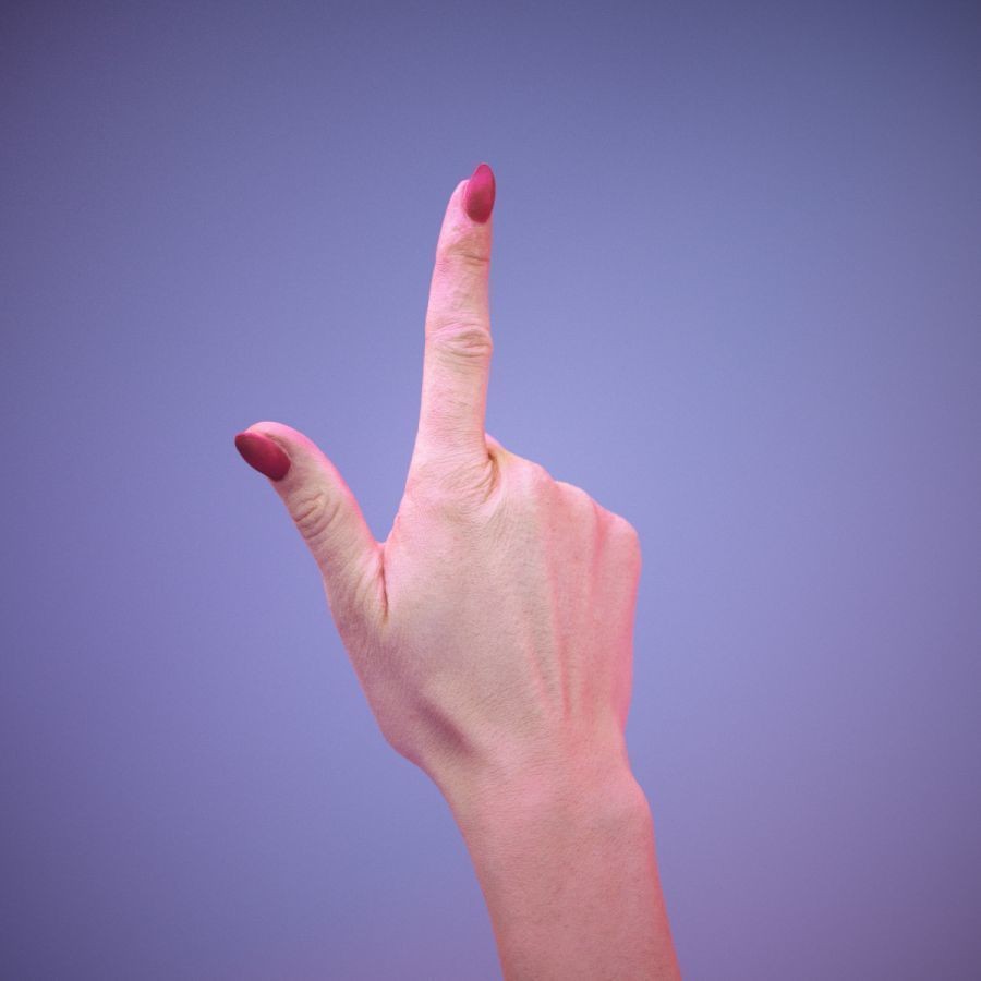 American Sign Language Hand Gesture 3D Model – High Poly Zbrush Asset, FBX - View 9