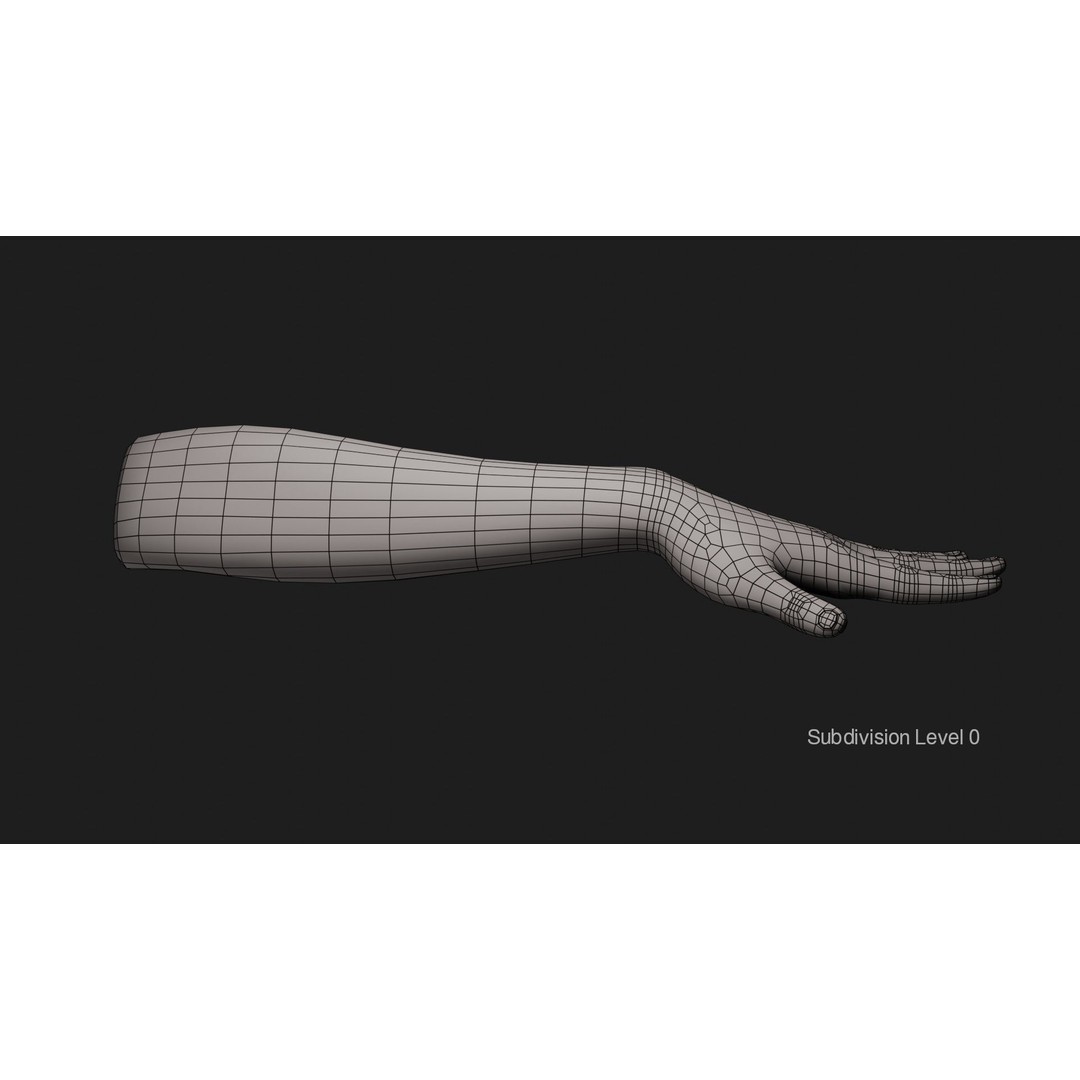 Female Left Hand 3D Model – Realistic PBR Asset, Blender, FBX, OBJ - View 16