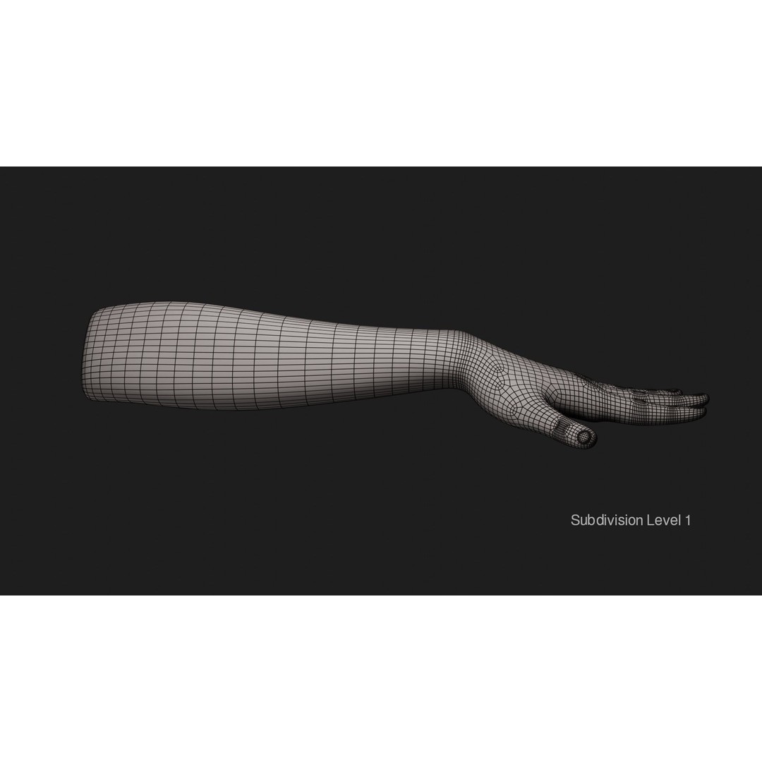 Female Left Hand 3D Model – Realistic PBR Asset, Blender, FBX, OBJ - View 17