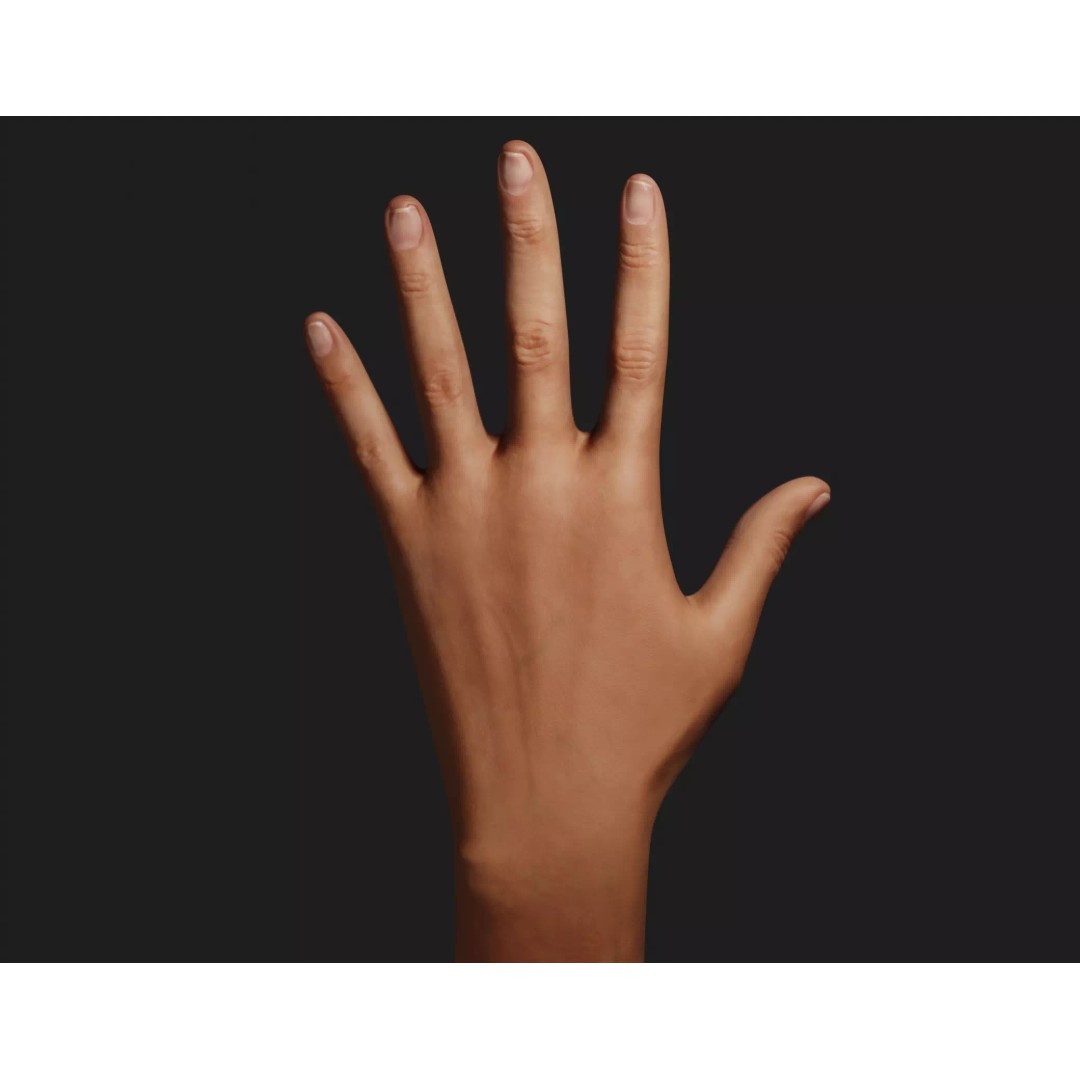 Female Left Hand 3D Model – Realistic PBR Asset, Blender, FBX, OBJ - View 2