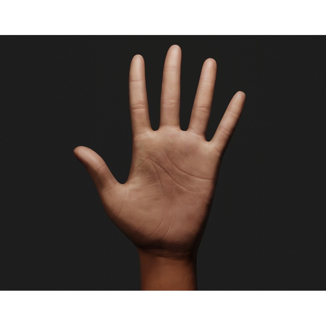 Female Left Hand 3D Model – Realistic PBR Asset, Blender, FBX, OBJ - View 3