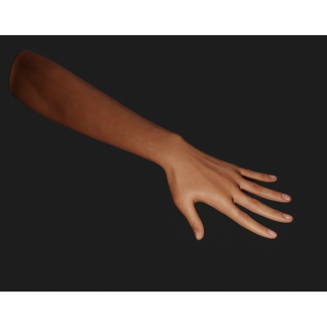 Female Left Hand 3D Model – Realistic PBR Asset, Blender, FBX, OBJ - View 4