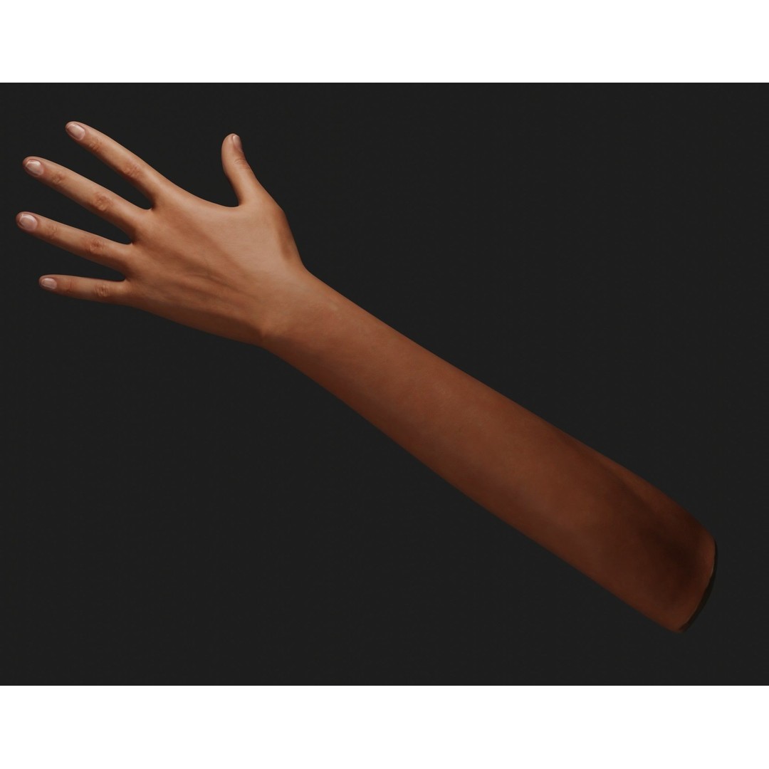 Female Left Hand 3D Model – Realistic PBR Asset, Blender, FBX, OBJ - View 5