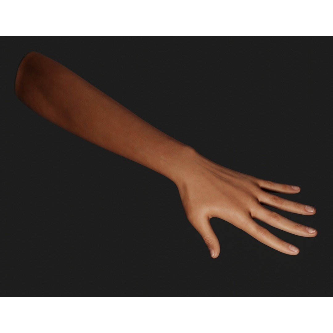 Female Left Hand 3D Model – Realistic PBR Asset, Blender, FBX, OBJ - View 6