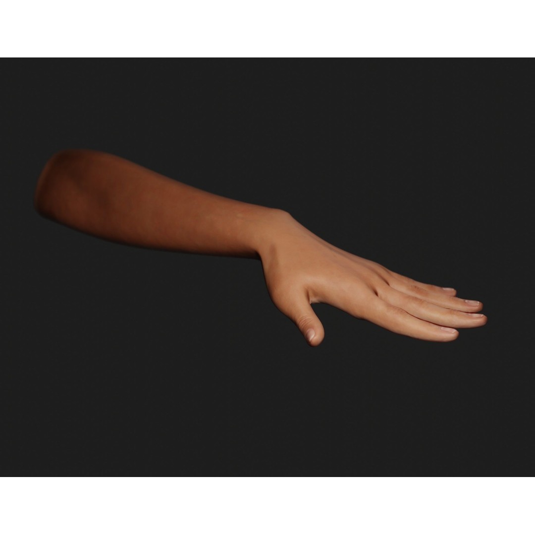 Female Left Hand 3D Model – Realistic PBR Asset, Blender, FBX, OBJ - View 7