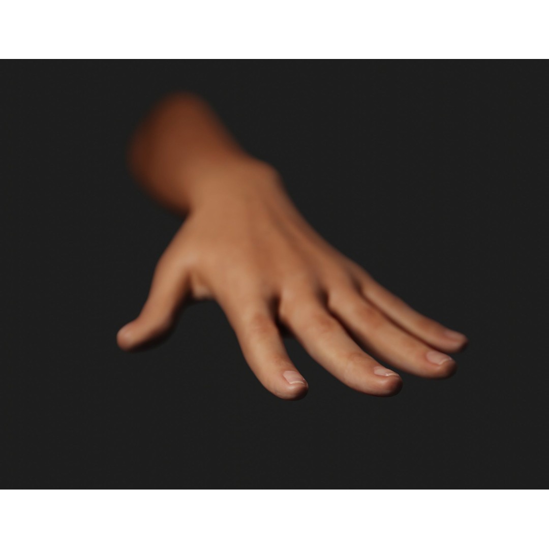 Female Left Hand 3D Model – Realistic PBR Asset, Blender, FBX, OBJ - View 8