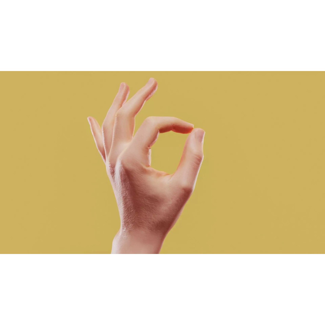 Photorealistic Male Hand 3D Model – Low Poly PBR Asset, FBX & More - View 2