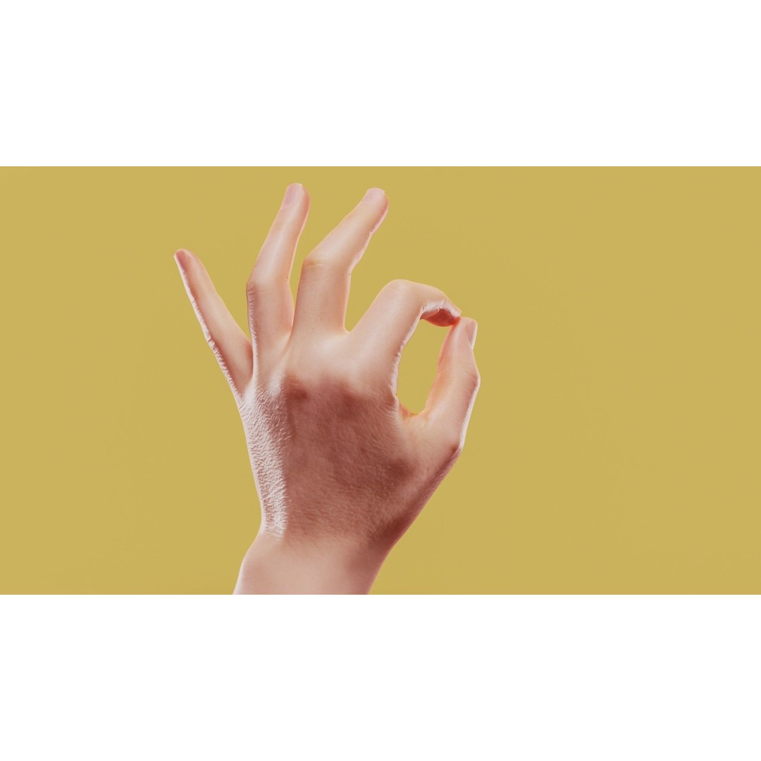Photorealistic Male Hand 3D Model – Low Poly PBR Asset, FBX & More - View 3