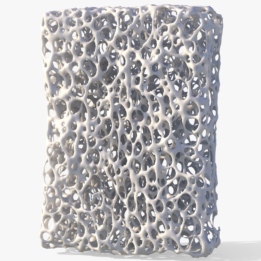 Bone Structure 3D Model – High Poly Anatomical Asset, FBX, OBJ - View 4