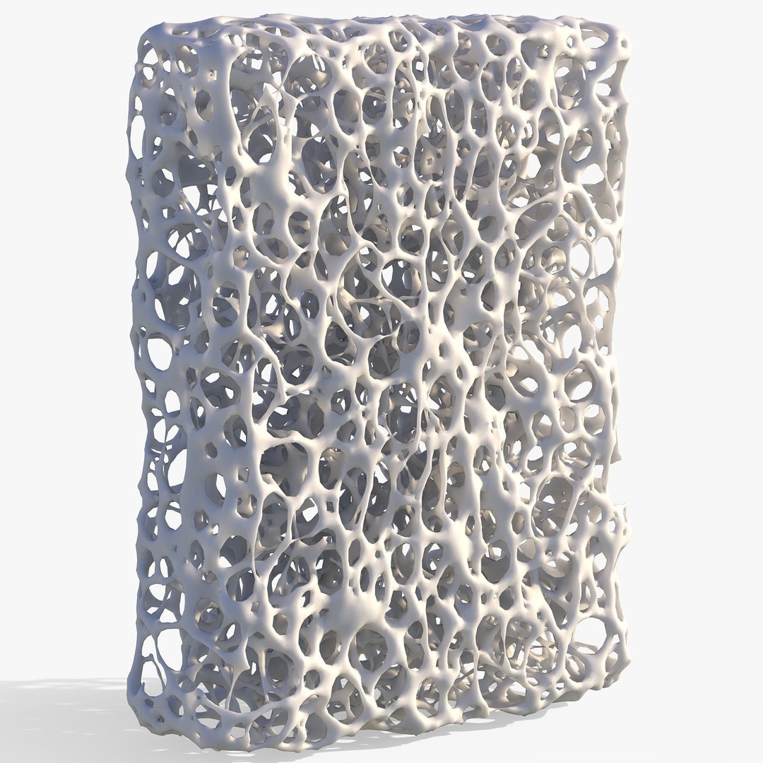 Bone Structure 3D Model – High Poly Anatomical Asset, FBX, OBJ - View 5
