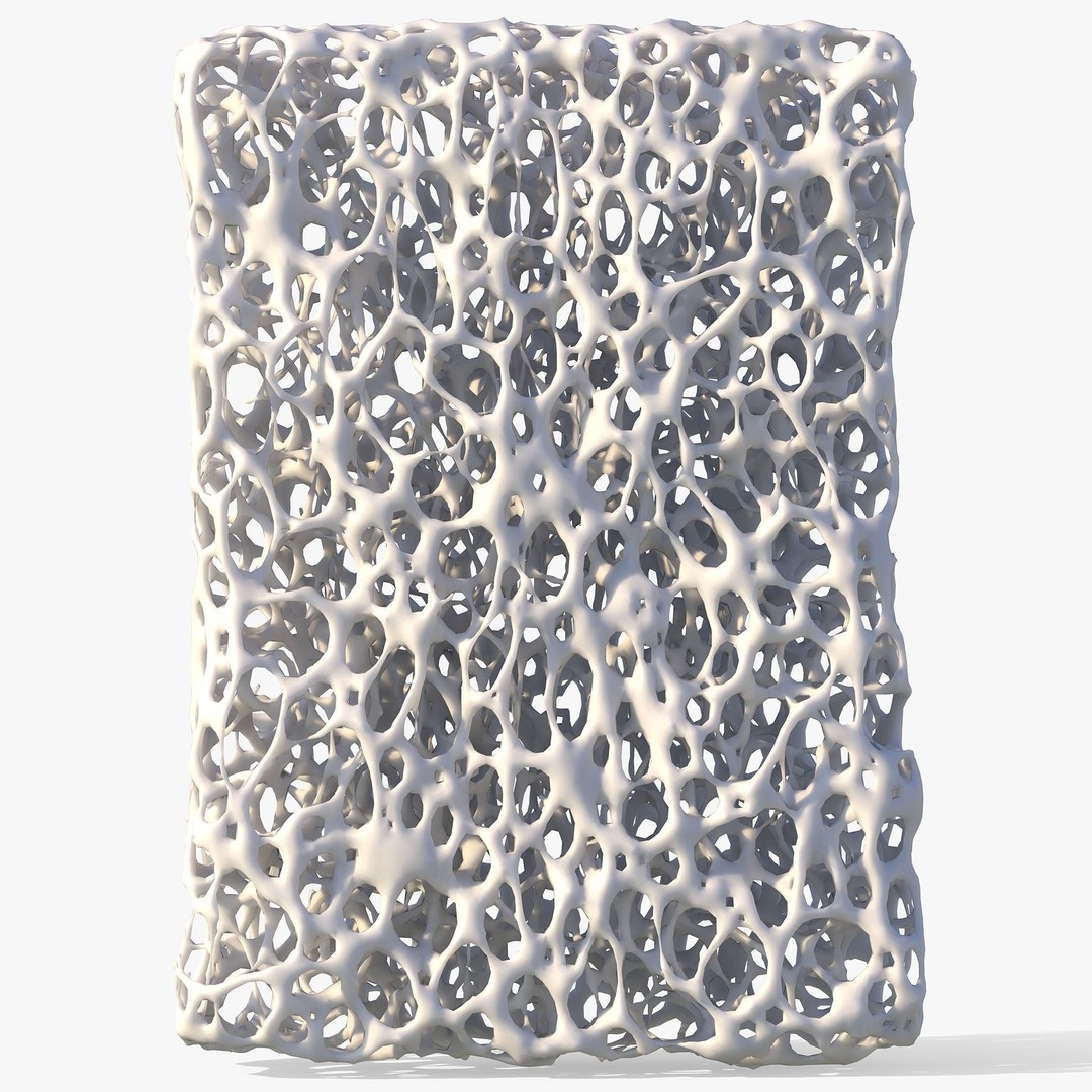 Bone Structure 3D Model – High Poly Anatomical Asset, FBX, OBJ - View 6