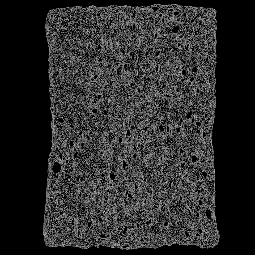 Bone Structure 3D Model – High Poly Anatomical Asset, FBX, OBJ - View 7