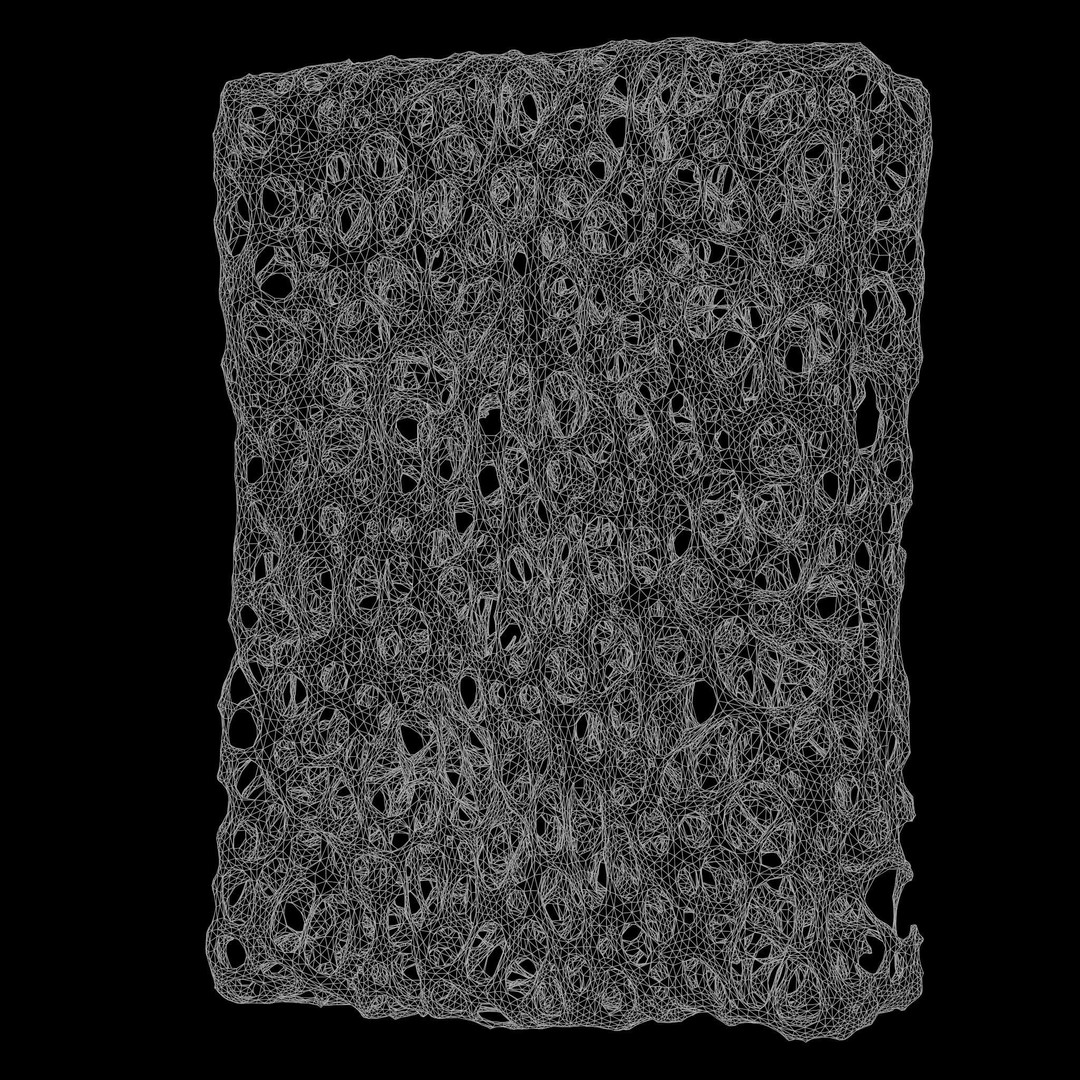 Bone Structure 3D Model – High Poly Anatomical Asset, FBX, OBJ - View 9