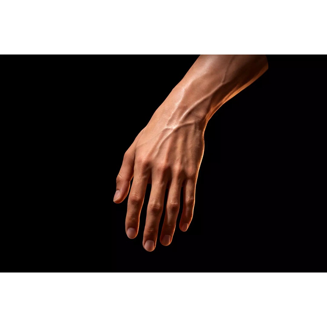 Realistic Male Human Hand 3D Model – Low Poly Rigged Asset, FBX