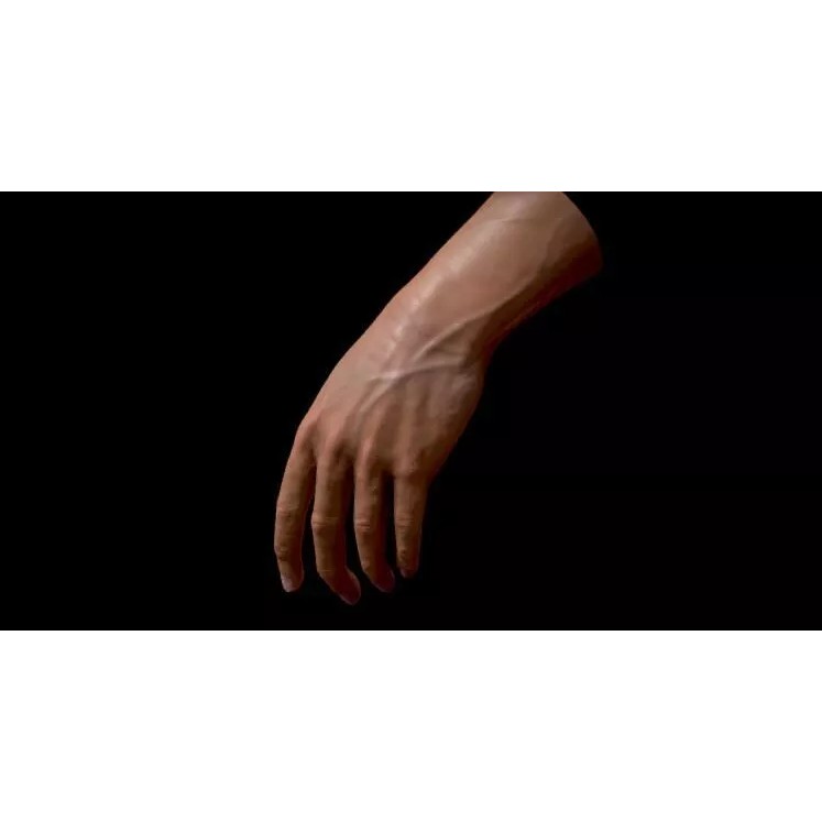 Realistic Male Human Hand 3D Model – Low Poly Rigged Asset, FBX - View 11