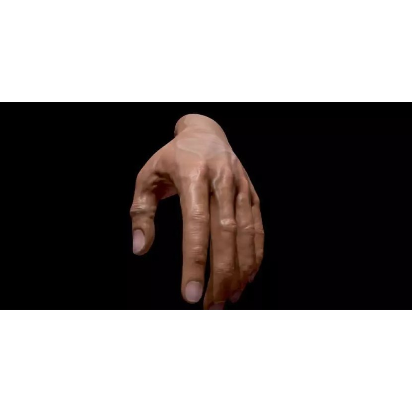 Realistic Male Human Hand 3D Model – Low Poly Rigged Asset, FBX - View 2