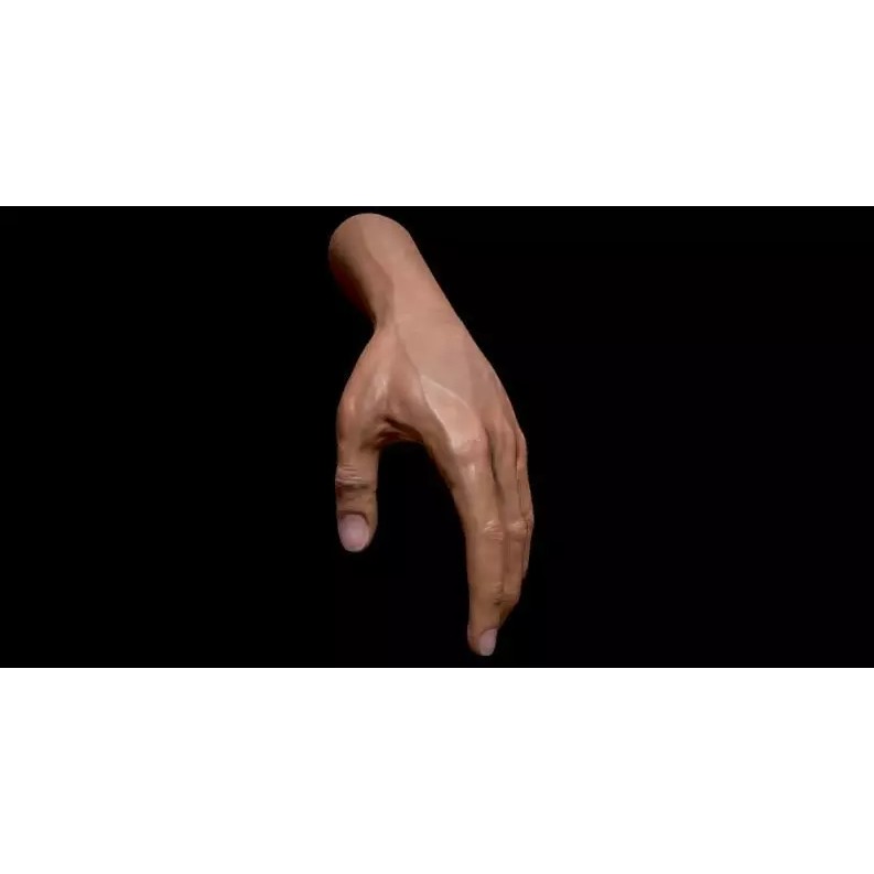 Realistic Male Human Hand 3D Model – Low Poly Rigged Asset, FBX - View 4