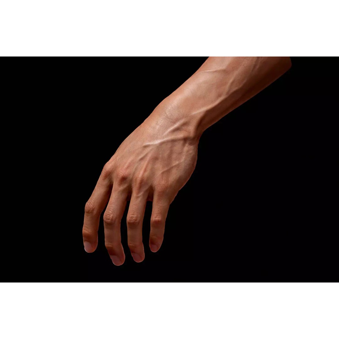 Realistic Male Human Hand 3D Model – Low Poly Rigged Asset, FBX - View 5