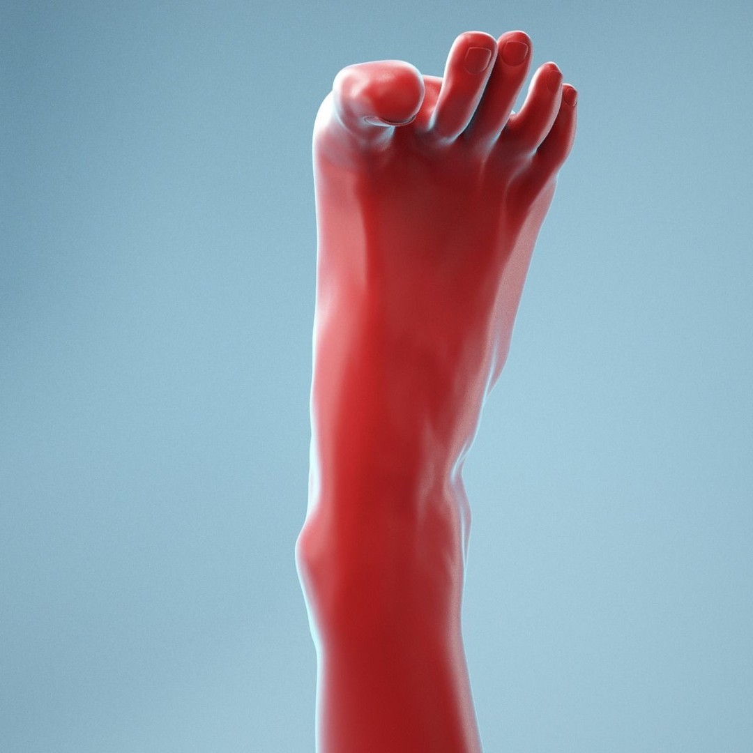 Open Toes Realistic Foot 3D Model – High Poly Anatomical Scan, FBX