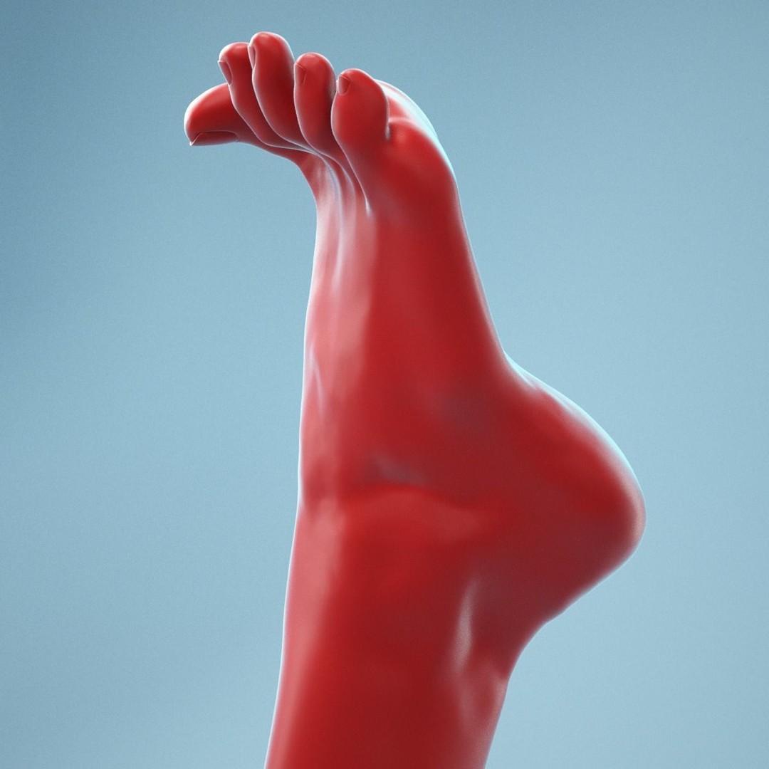 Open Toes Realistic Foot 3D Model – High Poly Anatomical Scan, FBX - View 10