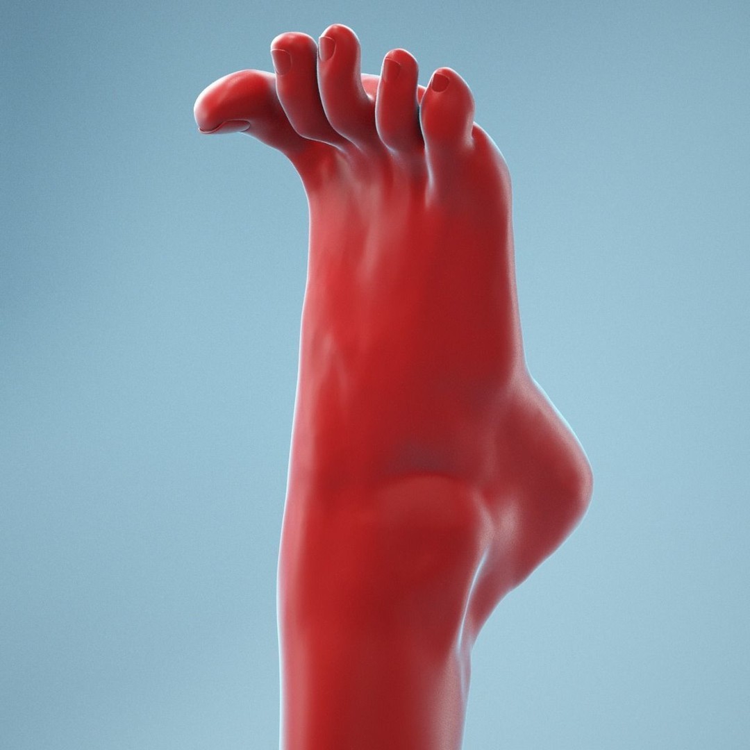 Open Toes Realistic Foot 3D Model – High Poly Anatomical Scan, FBX - View 11