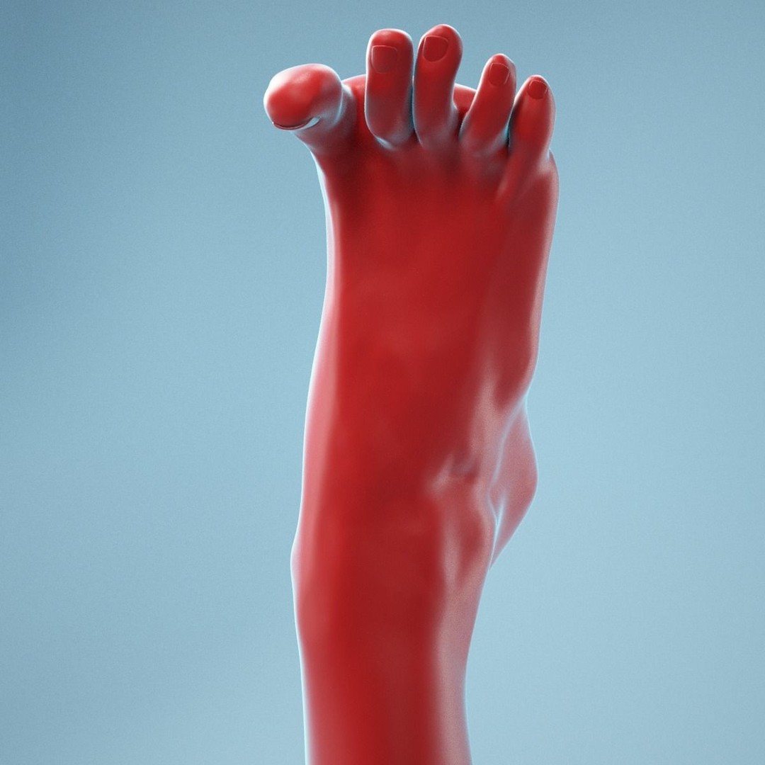 Open Toes Realistic Foot 3D Model – High Poly Anatomical Scan, FBX - View 12