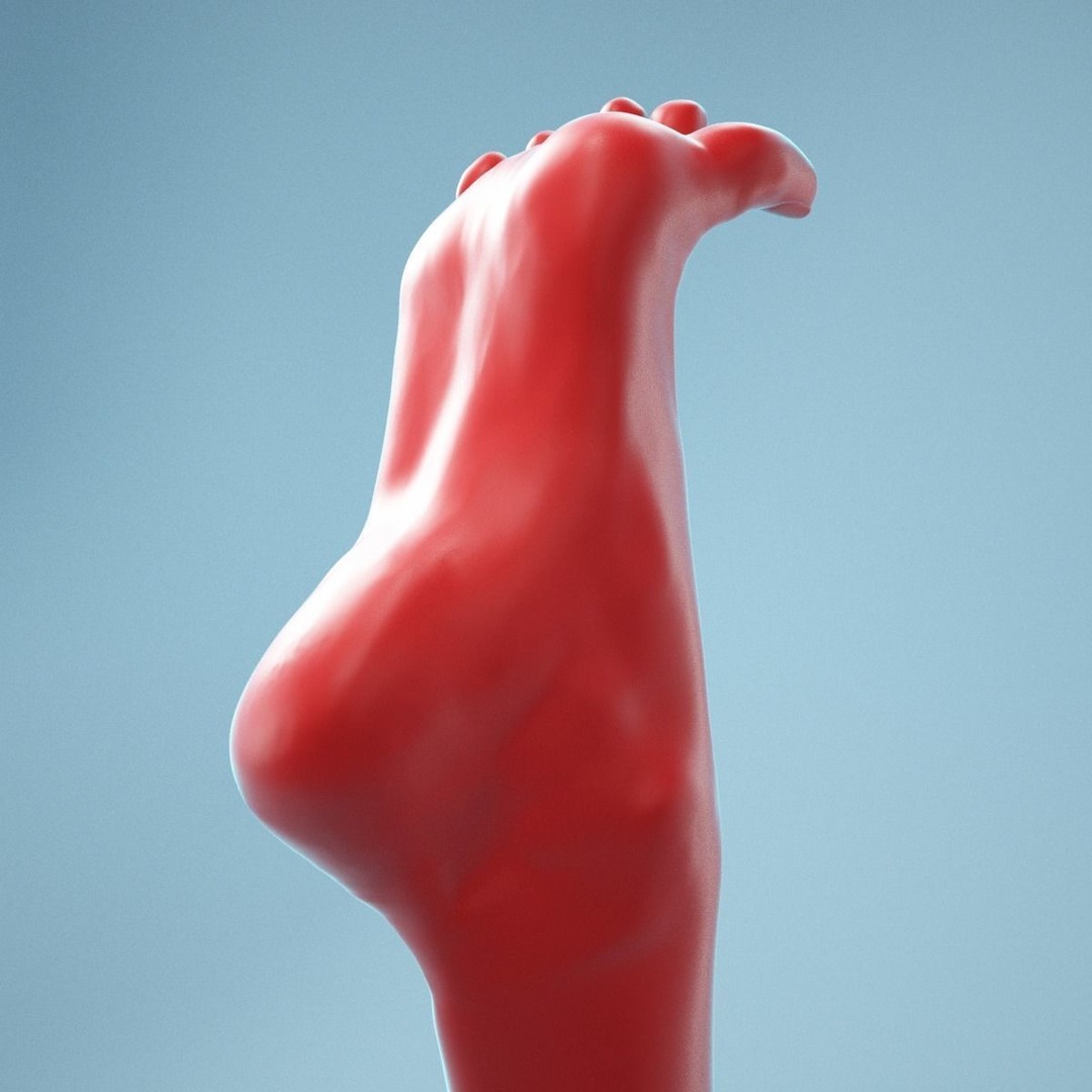 Open Toes Realistic Foot 3D Model – High Poly Anatomical Scan, FBX - View 5