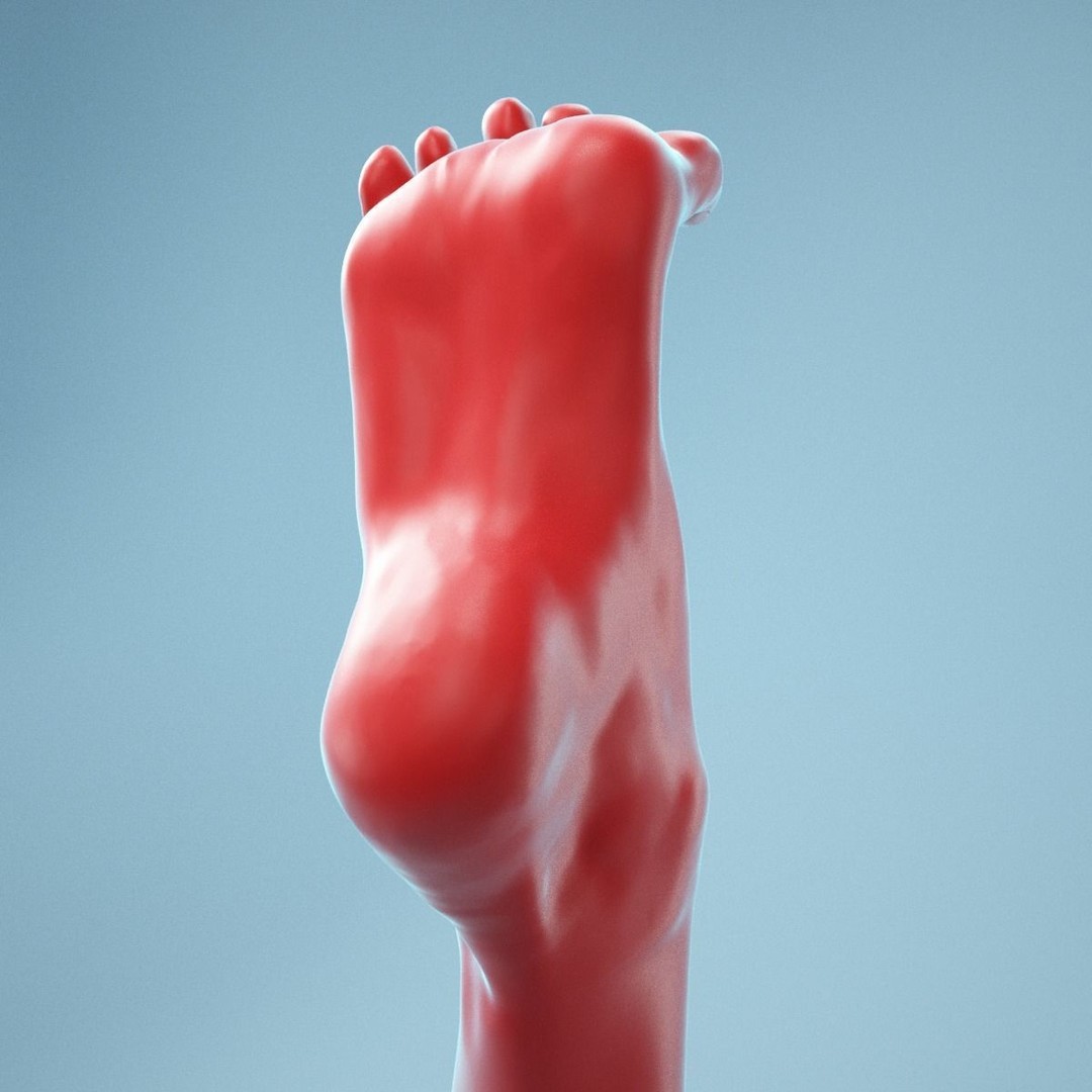 Open Toes Realistic Foot 3D Model – High Poly Anatomical Scan, FBX - View 6