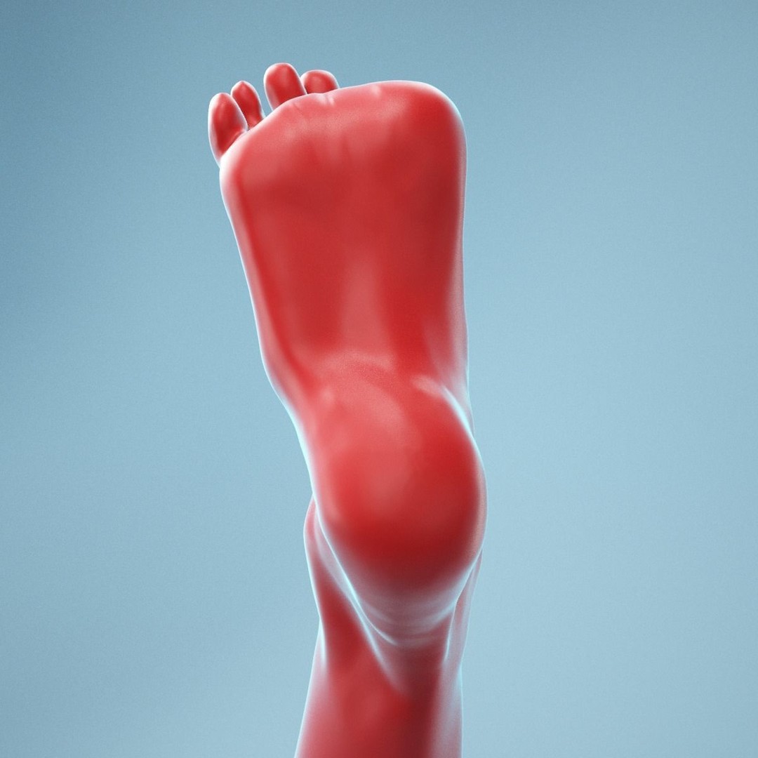 Open Toes Realistic Foot 3D Model – High Poly Anatomical Scan, FBX - View 7