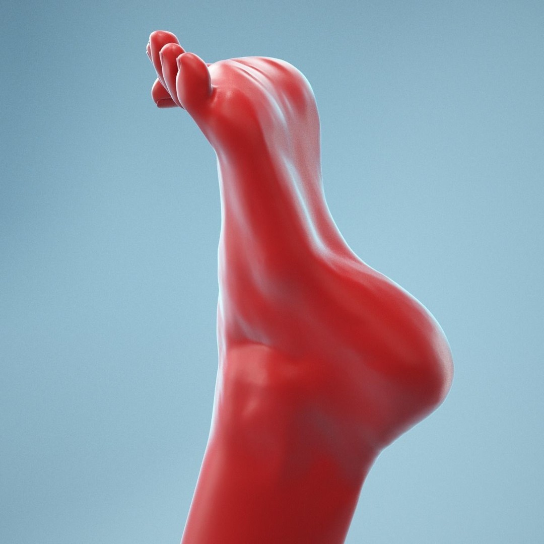 Open Toes Realistic Foot 3D Model – High Poly Anatomical Scan, FBX - View 9