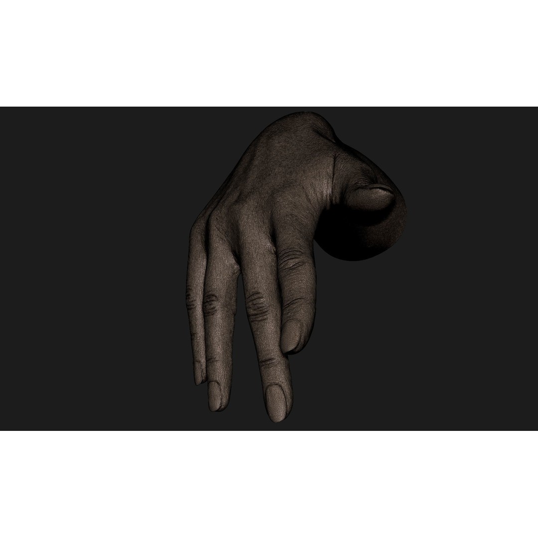 Realistic Female Hand 3D Model – High Poly ZBrush Sculpt for Printing