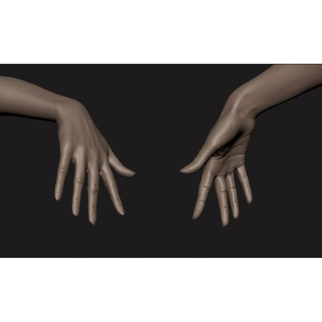 Realistic Female Hand 3D Model – High Poly ZBrush Sculpt for Printing - View 2