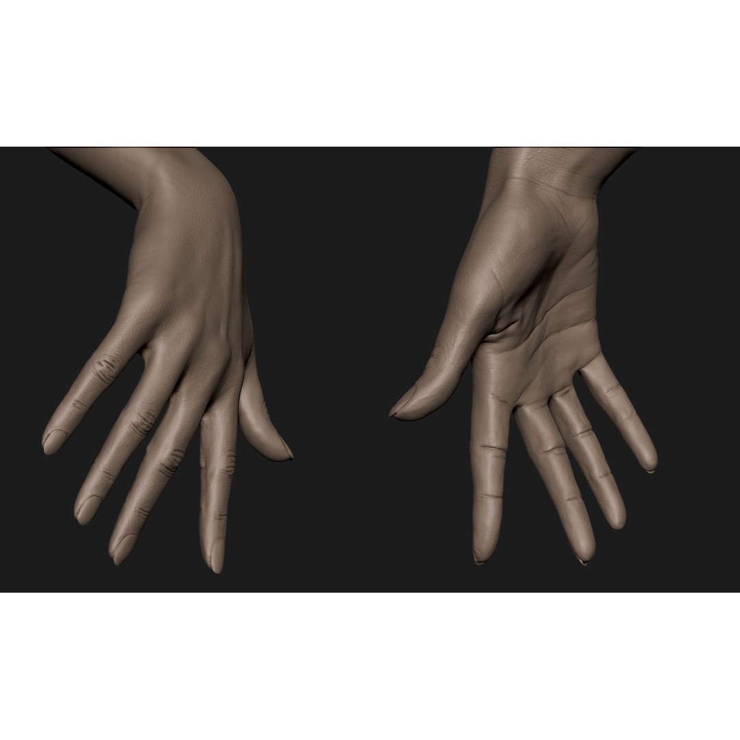 Realistic Female Hand 3D Model – High Poly ZBrush Sculpt for Printing - View 3