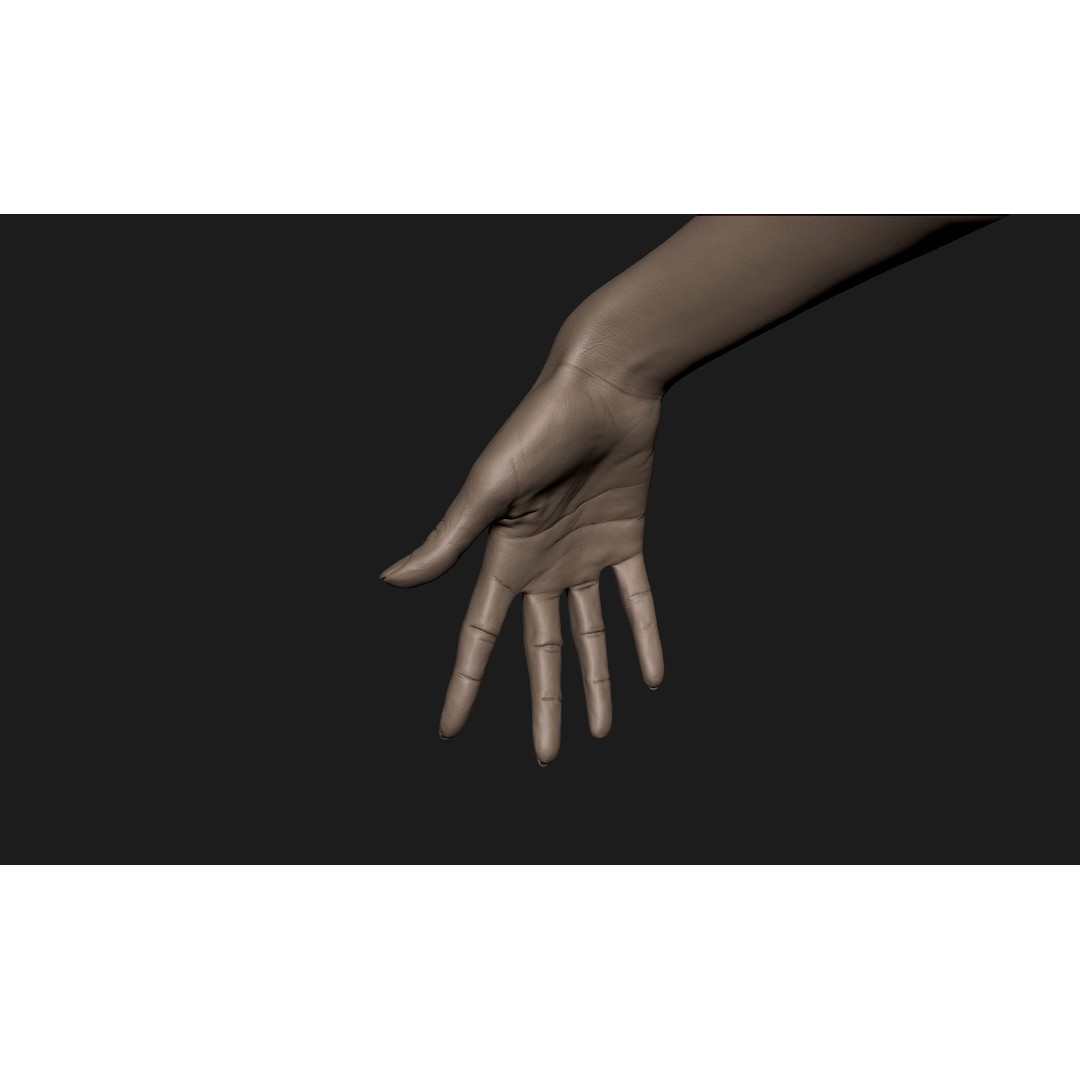 Realistic Female Hand 3D Model – High Poly ZBrush Sculpt for Printing - View 4