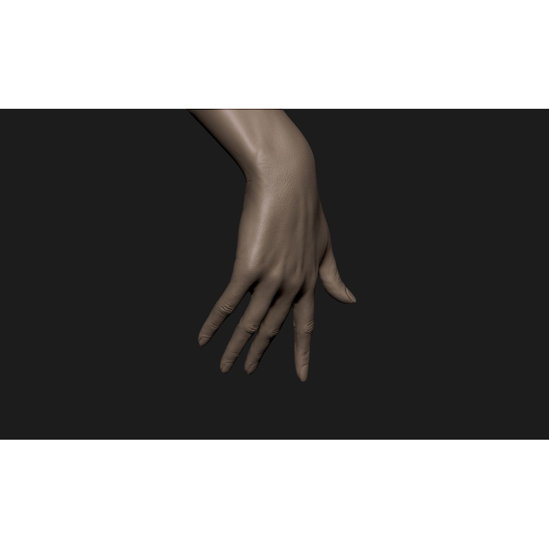 Realistic Female Hand 3D Model – High Poly ZBrush Sculpt for Printing - View 5