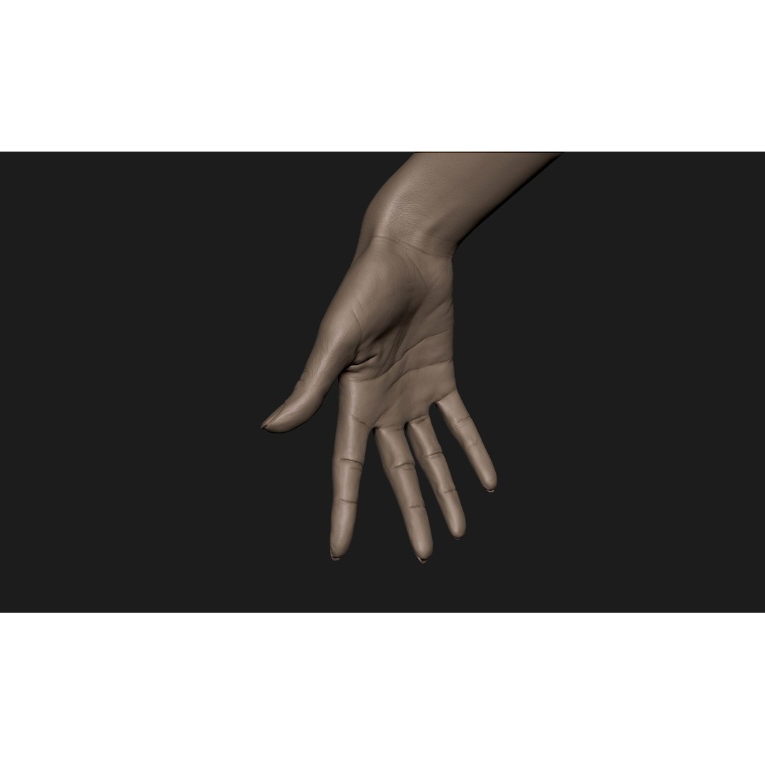 Realistic Female Hand 3D Model – High Poly ZBrush Sculpt for Printing - View 6