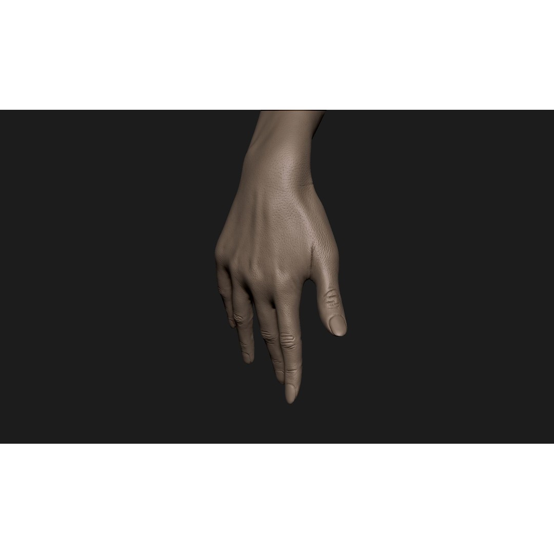 Realistic Female Hand 3D Model – High Poly ZBrush Sculpt for Printing - View 7
