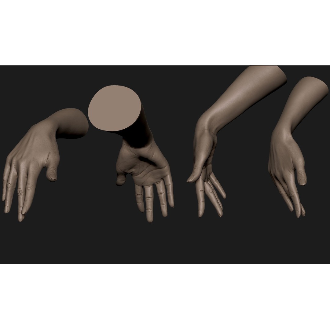 Realistic Female Hand 3D Model – High Poly ZBrush Sculpt for Printing - View 8