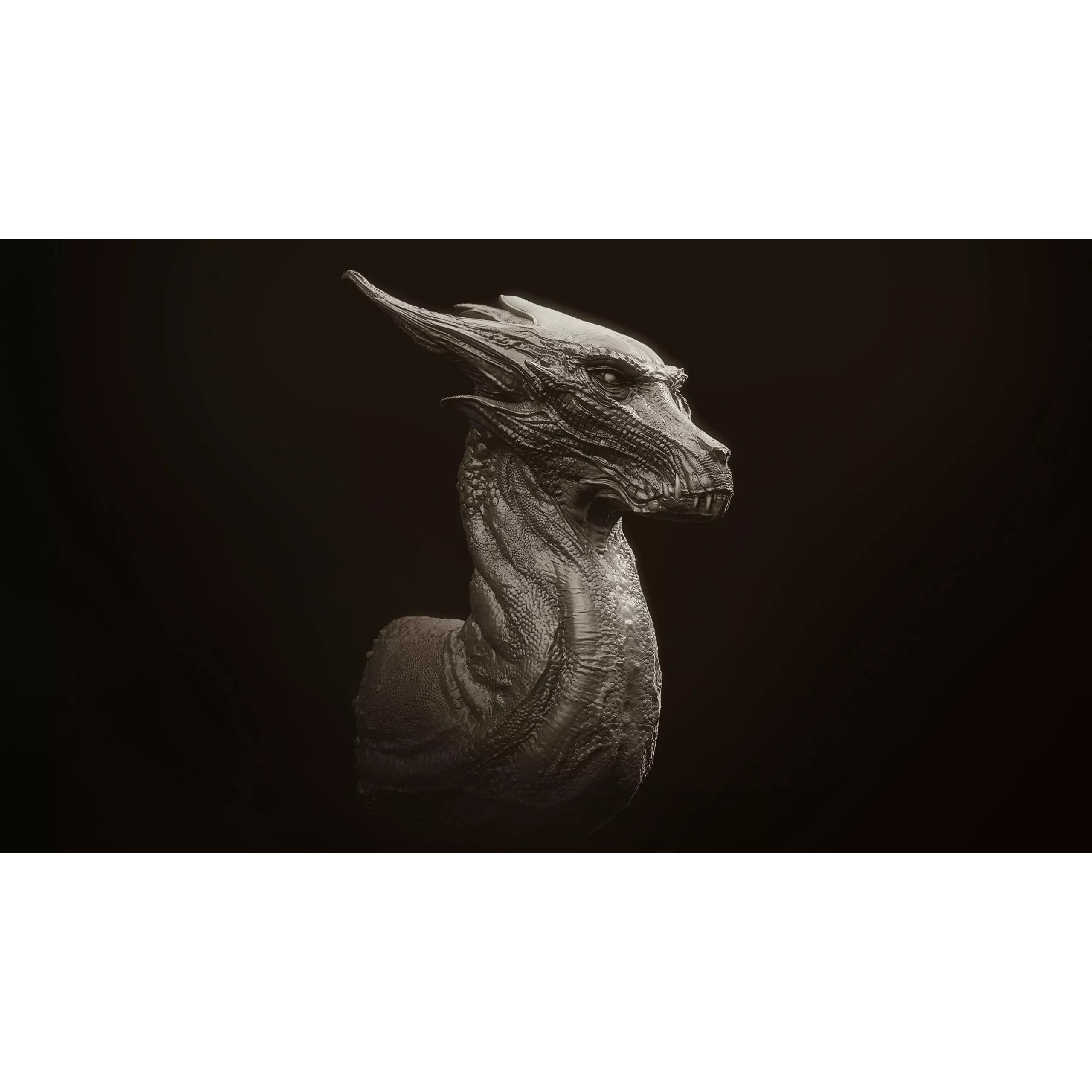 Dragon Heads Volume 1 - High-Poly 3D Model - View 14