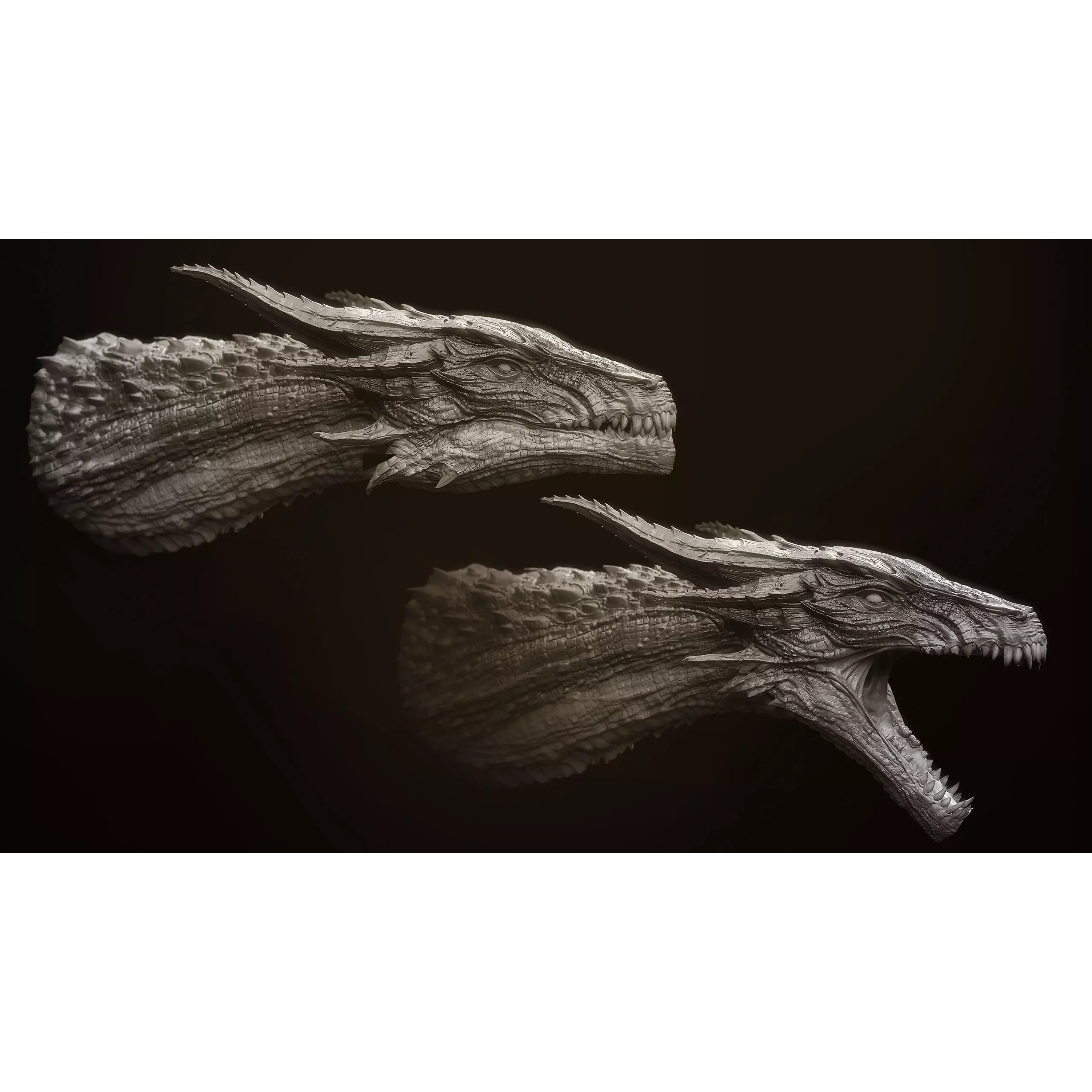 Dragon Heads Volume 1 - High-Poly 3D Model - View 4
